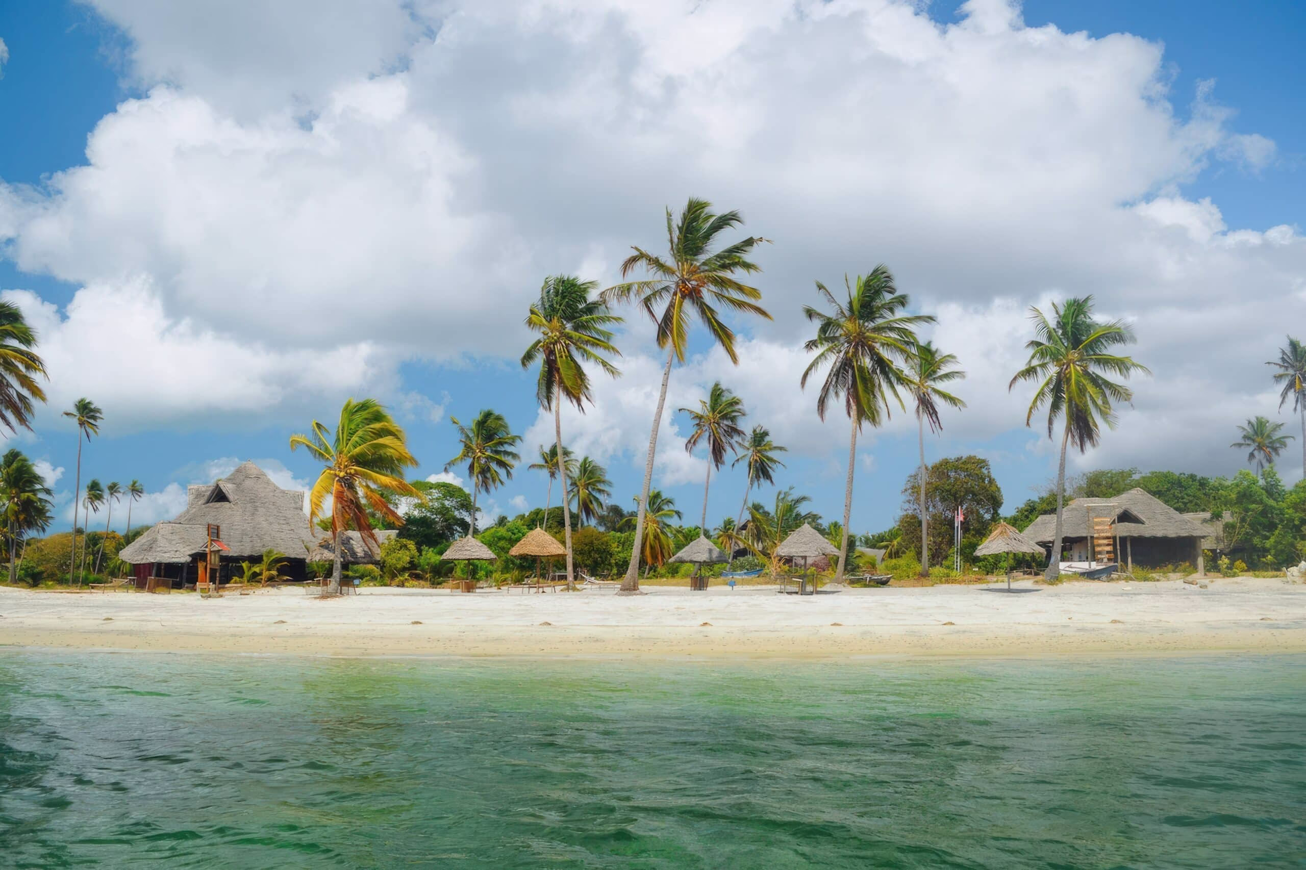 Swaying palm trees along the sandy coast of Mafia Island, Tanzania