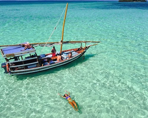 Tourists swimming and interacting with dolphins in the clear waters of Kizimkazi