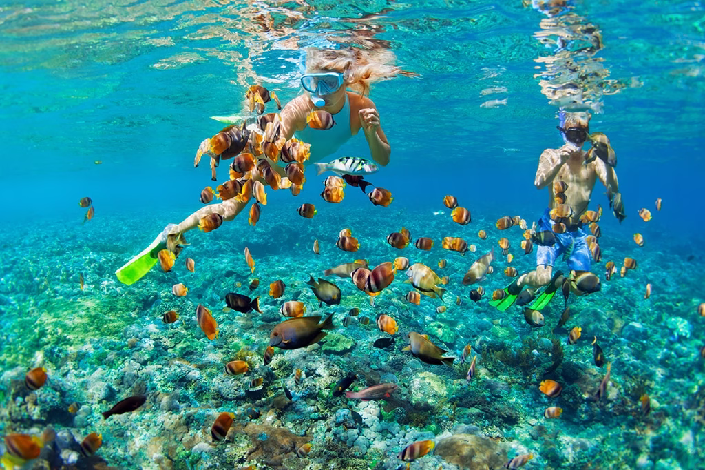 Tourist snorkeling among colorful tropical fish and coral reefs at Mnemba Atoll Zanzibar