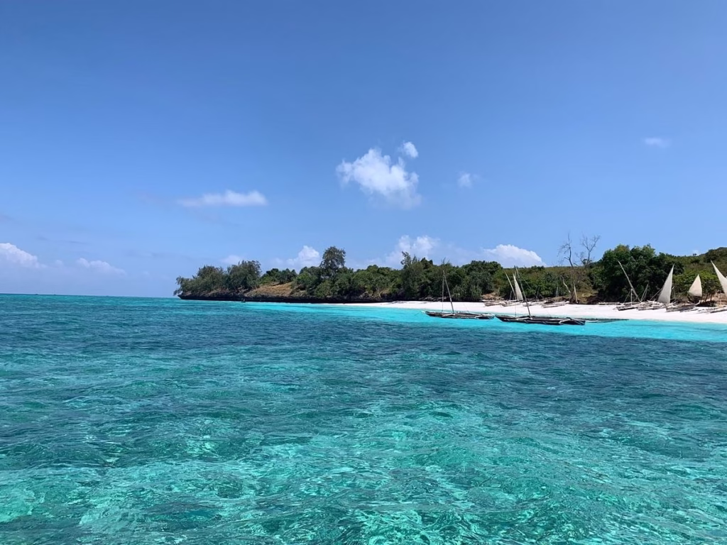 Tourists snorkeling among colorful coral reefs and tropical fish at Pemba Island